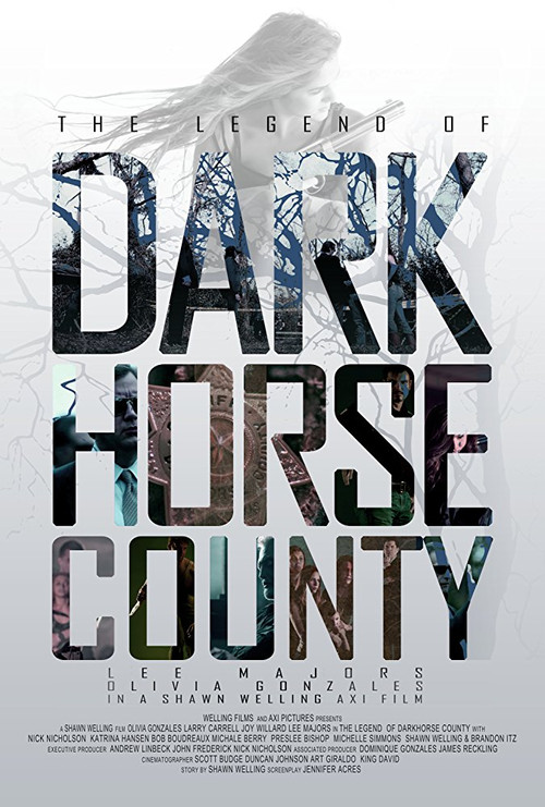 The Legend of DarkHorse County (2014) poster