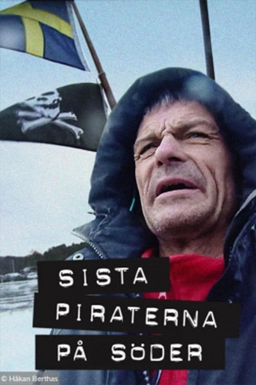 Sista piraterna på Söder (2020) poster
