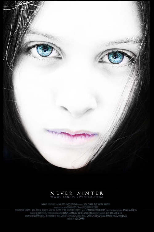 Never Winter (2010) poster