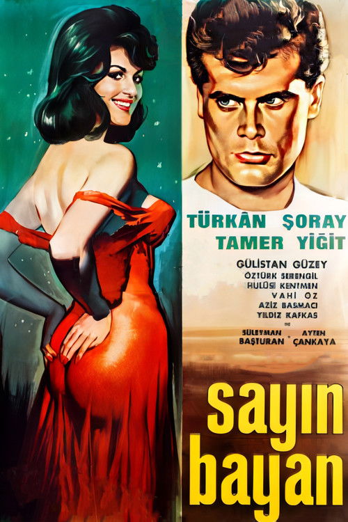 Sayın Bayan (1963) poster
