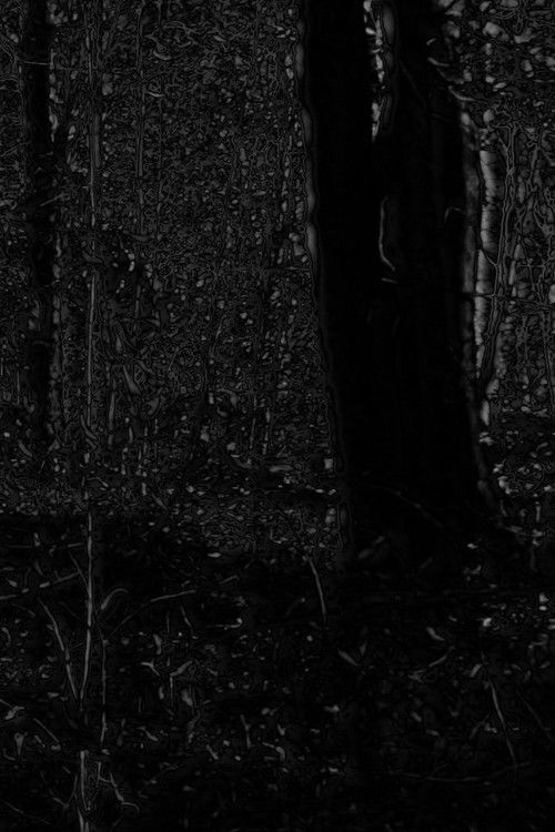 Phosphenes II (2024) poster