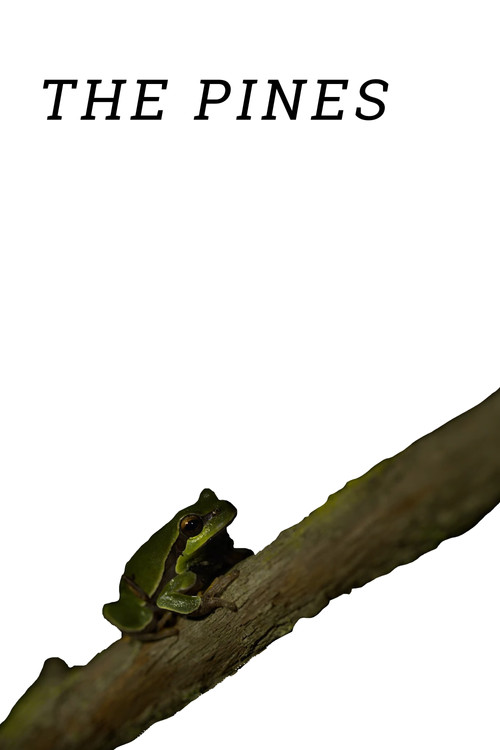 The Pines (2020) poster