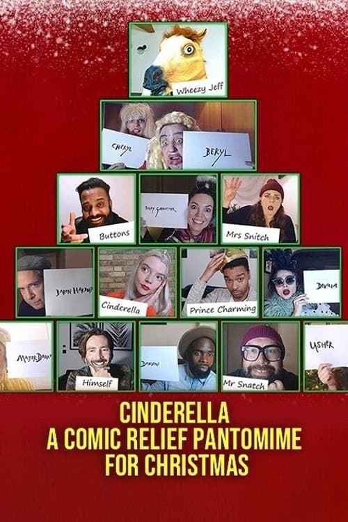 Cinderella: A Comic Relief Pantomime for Christmas (2020) poster