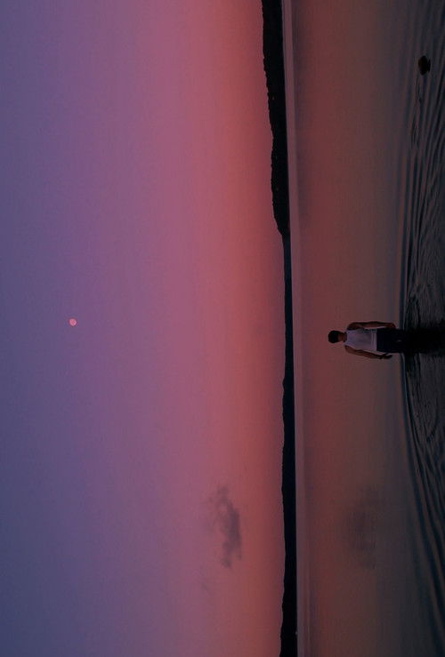 THE WATERS (his) (2024) poster