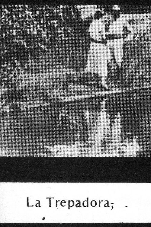 La trepadora (1924) poster