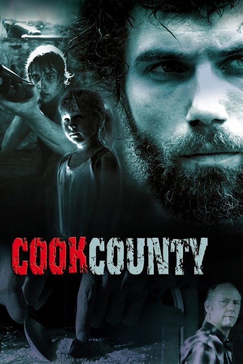 Cook County (2009) poster