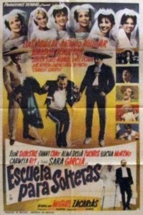 Escuela para solteras (1965) poster