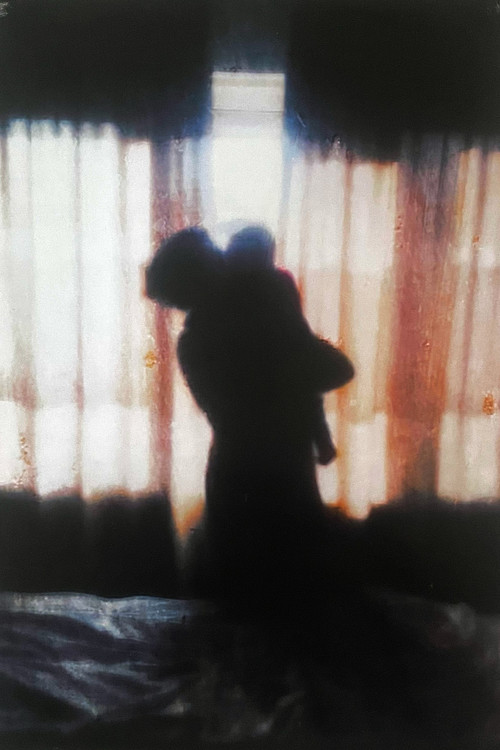 The Mother (2016) poster