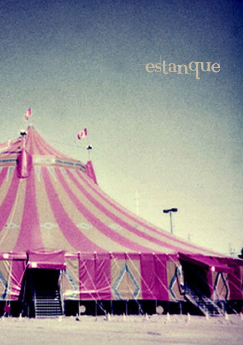 Estanque (2011) poster