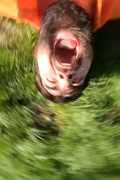 As I Was Moving Ahead Occasionally I Saw Brief Glimpses of Mayhem (2024) poster