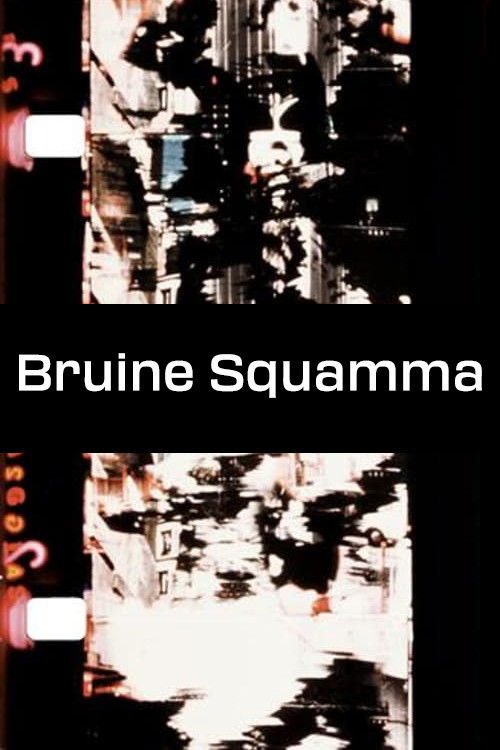 Bruine Squamma (1977) poster