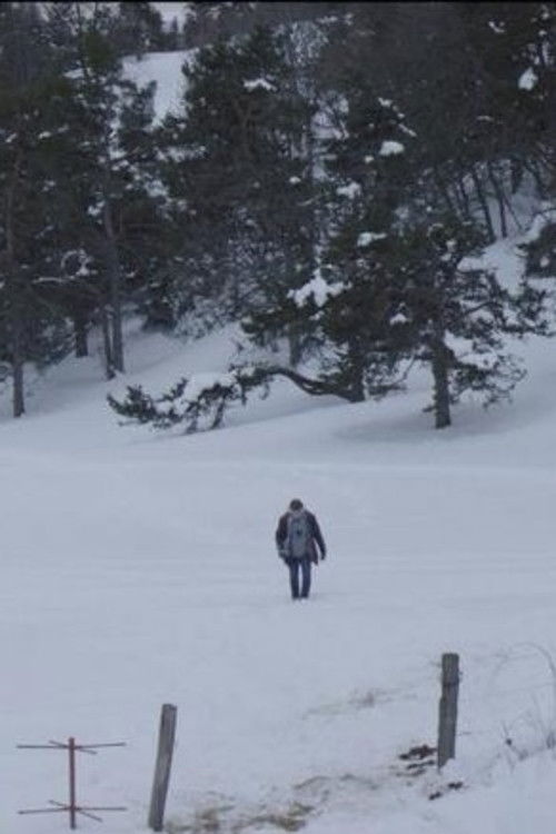 Je vais là-bas aussi (2019) poster