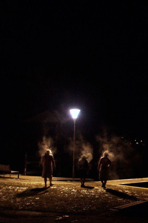 Die Saunagänger vom Attersee (2021) poster