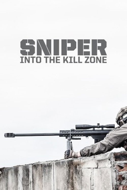 Sniper: Into the Kill Zone (2017) poster