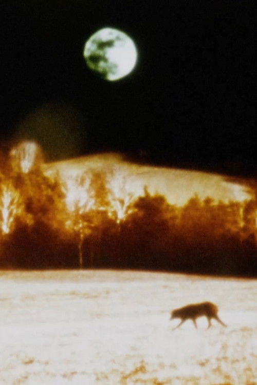 Darkness, Darkness, Burning Bright – Oraison (2022) poster