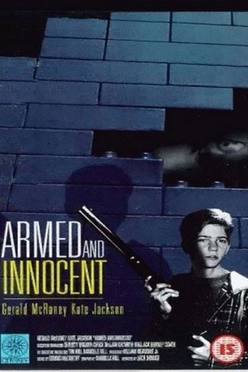 Armed and Innocent (1994) poster