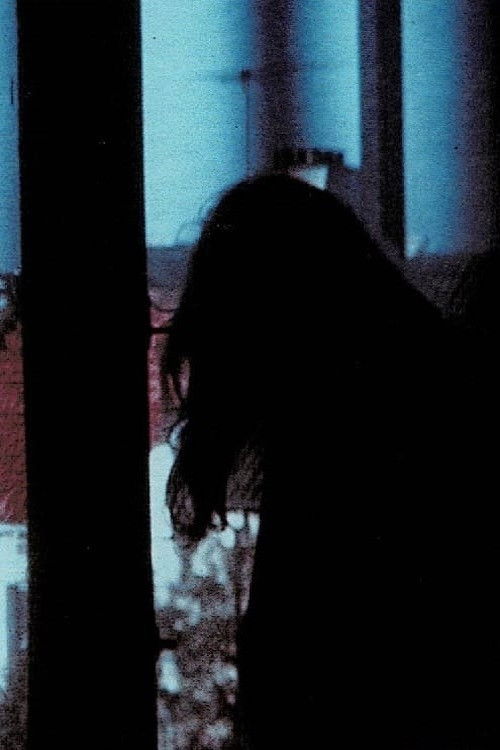 Window (1979) poster