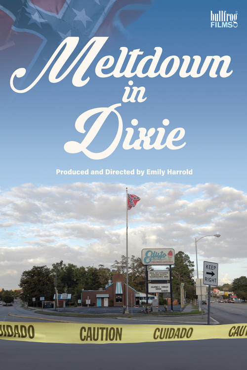 Meltdown in Dixie (2021) poster