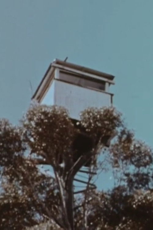 The Karri Forest (1962) poster