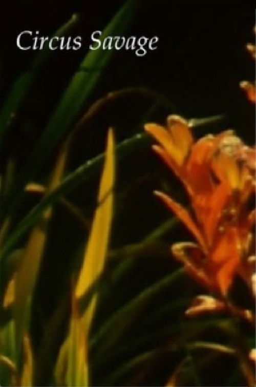 Circus Savage (2009) poster