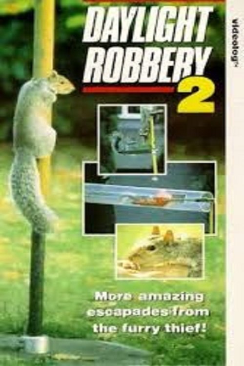 Daylight Robbery 2 (1991) poster