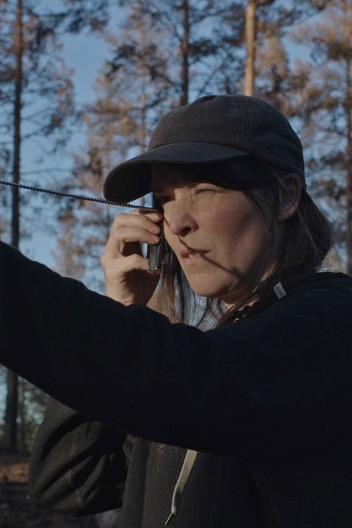 Ilden, Vandet, Jorden, Luften (2026) poster