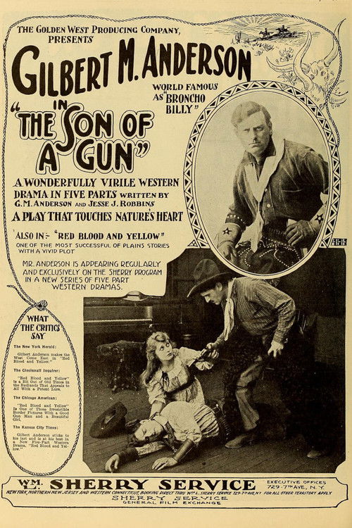The Son-of-a-Gun (1919) poster