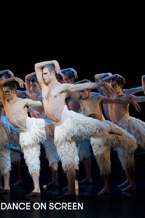 A History of Dance on Screen (2014) poster