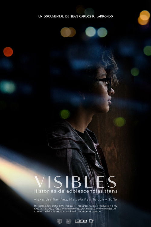 Visible: Transgender Youth Stories (2020) poster