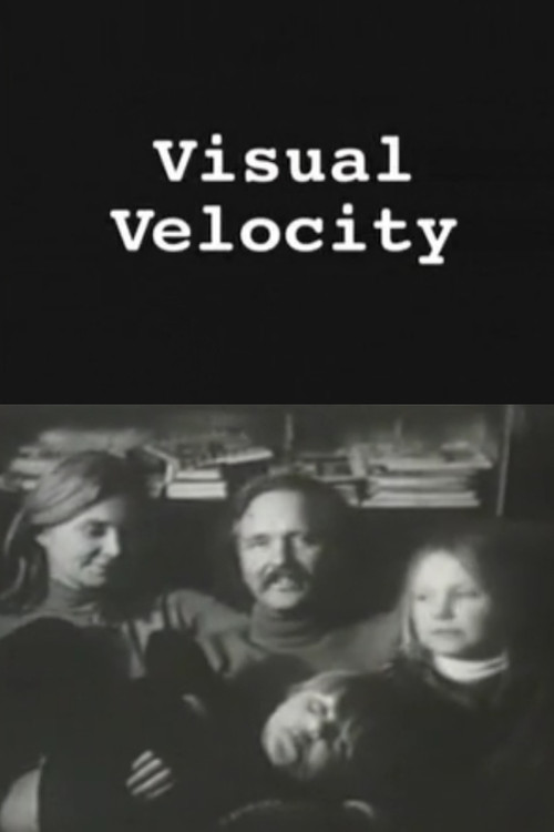 Visual Velocity: The Work of Stan VanDerBeek (2000) poster