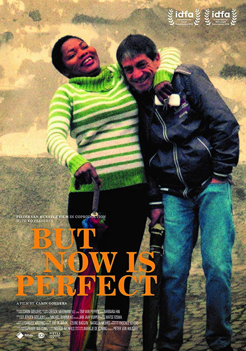But Now Is Perfect (2018) poster