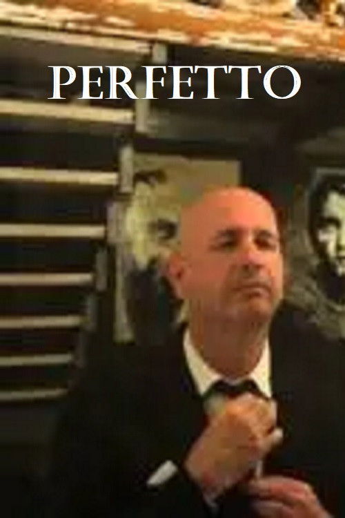 Perfetto (2013) poster