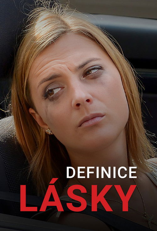 Definice lásky (2013) poster