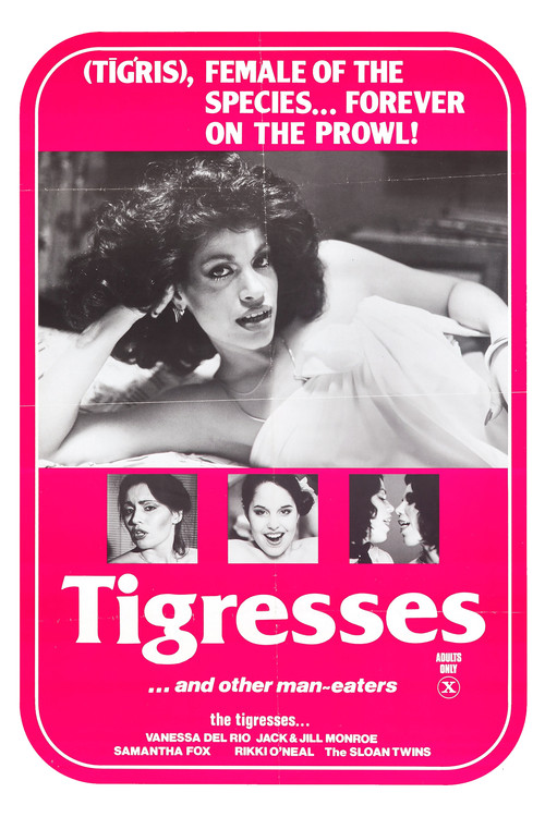 Tigresses (1979) poster