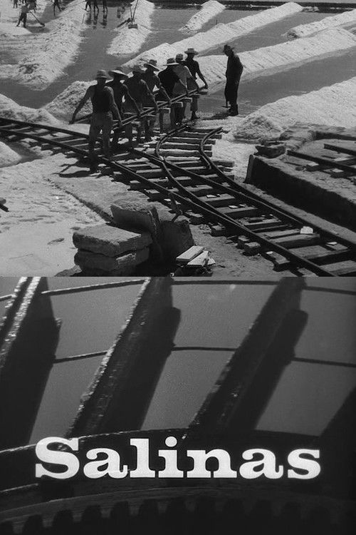 Salinas (1960) poster