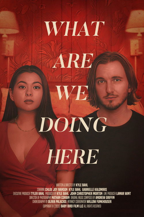 What Are We Doing Here (2024) poster