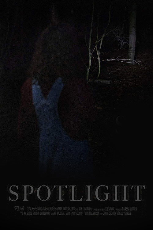 Spotlight (2018) poster