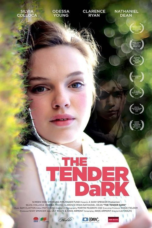 The Tender Dark (2015) poster