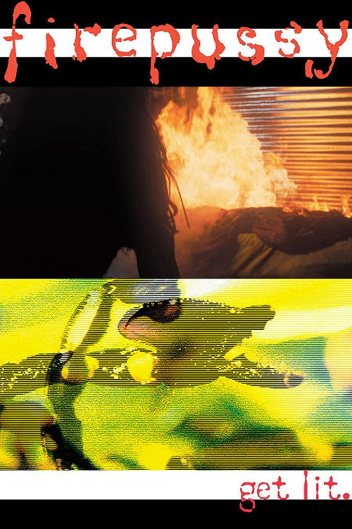 Firepussy (2003) poster