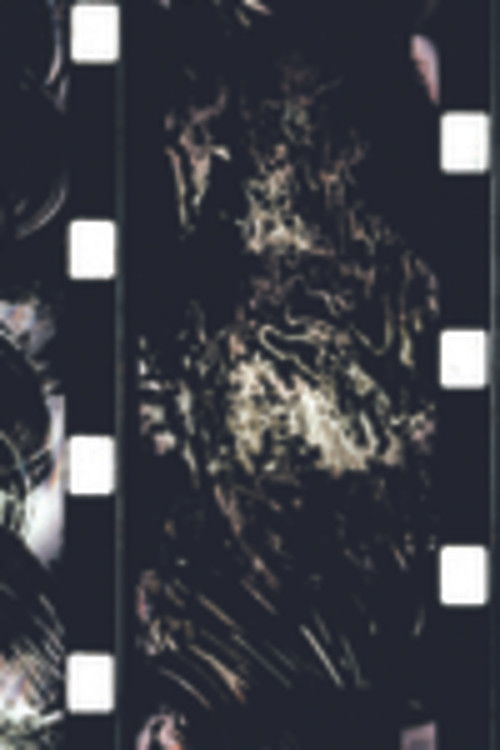 Big Band (2001) poster