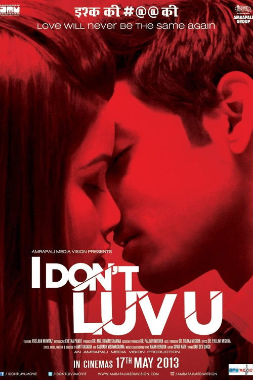 I Don't Luv U (2013) poster