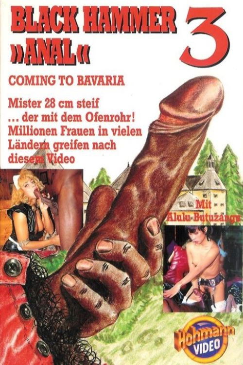 Black Hammer 3 (1993) poster