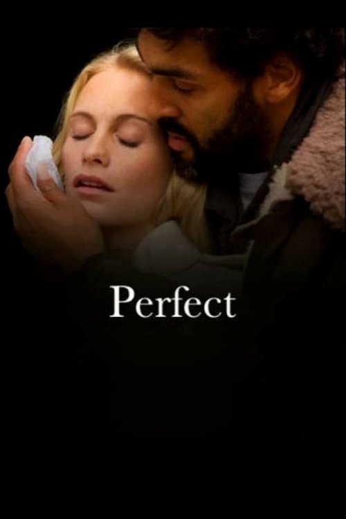 Perfect (2009) poster