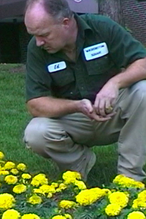 Ed Has a Vision (2001) poster