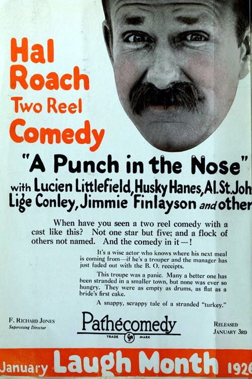 A Punch in the Nose (1926) poster