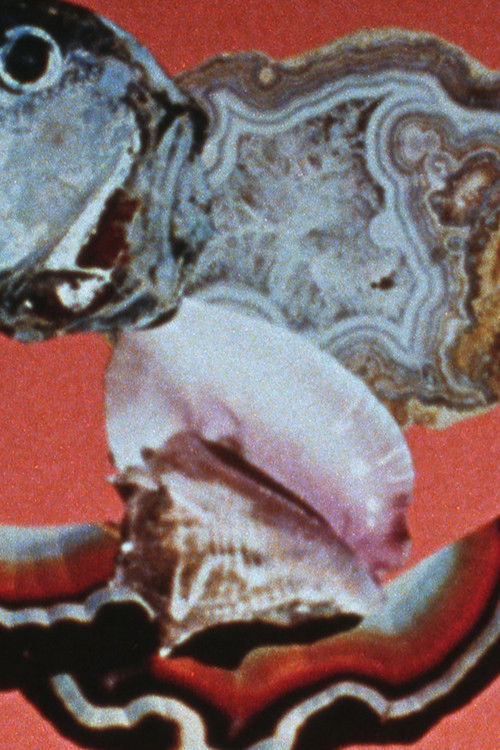 The Light Fantastic Picture Show (1974) poster