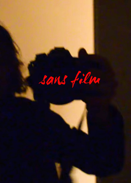 sans film (2024) poster