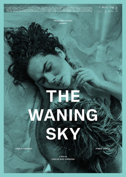 The Waning Sky (2024) poster