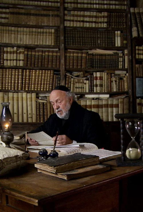 Santini's Network (2014) poster