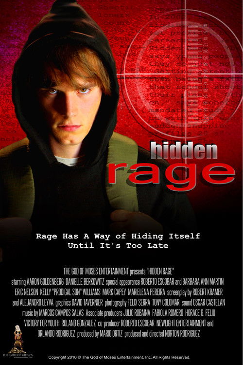 Hidden Rage (2010) poster
